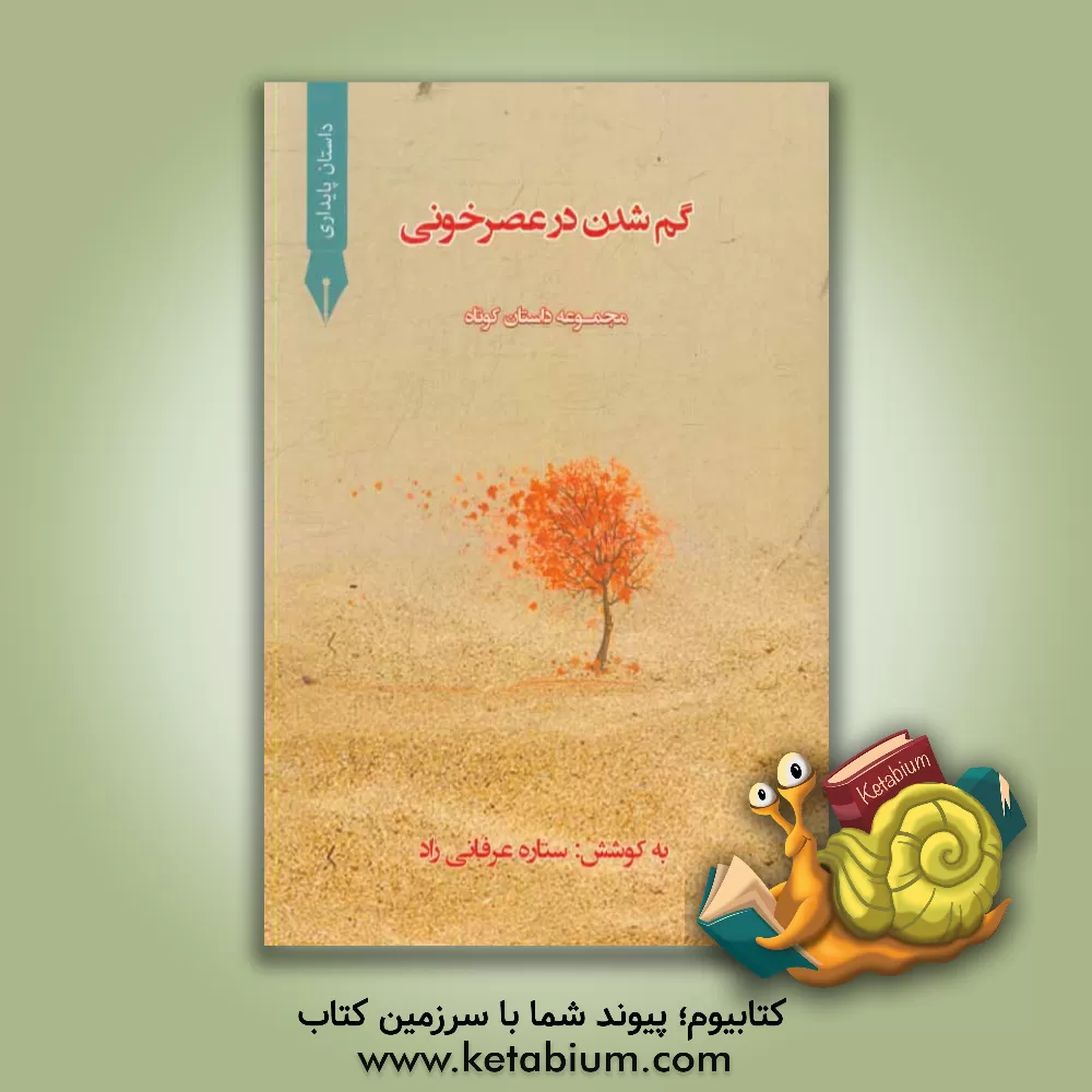 کتاب گم شدن در عصر خونی اثر ستاره عرفانی‌راد