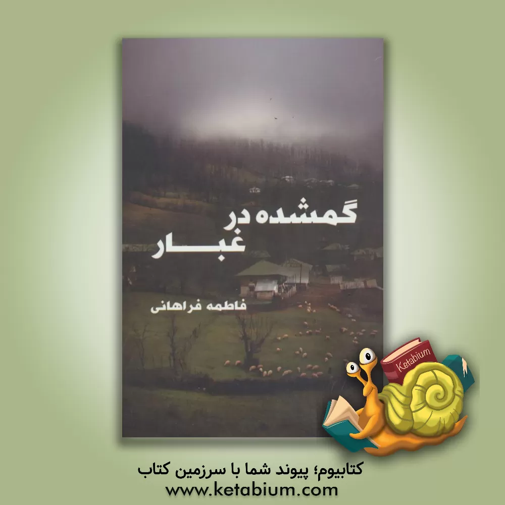 کتاب گمشده در غبار اثر فاطمه فراهانی