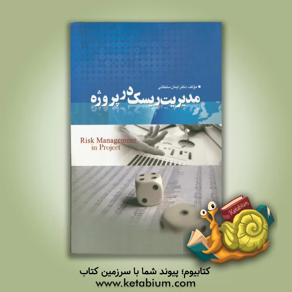 کتاب مدیریت ریسک در پروژه  اثر ایمان سلطانی