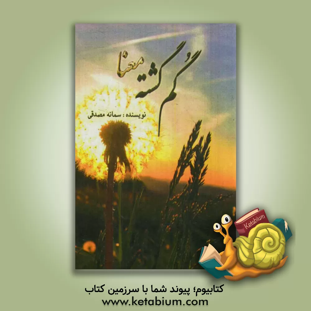 کتاب گمگشته معنا اثر سمانه مصدقی