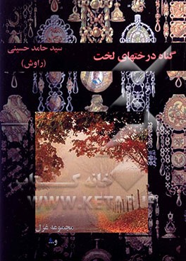 کتاب گناه درختان لخت (مجموعه شعر) اثر سیدحامد حسینی