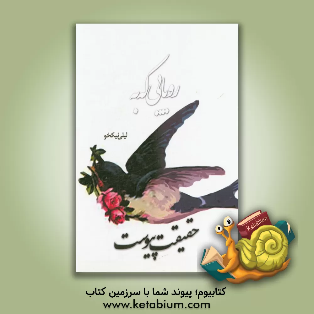 کتاب رویایی که به حقیقت پیوست اثر لیلی نیکخو