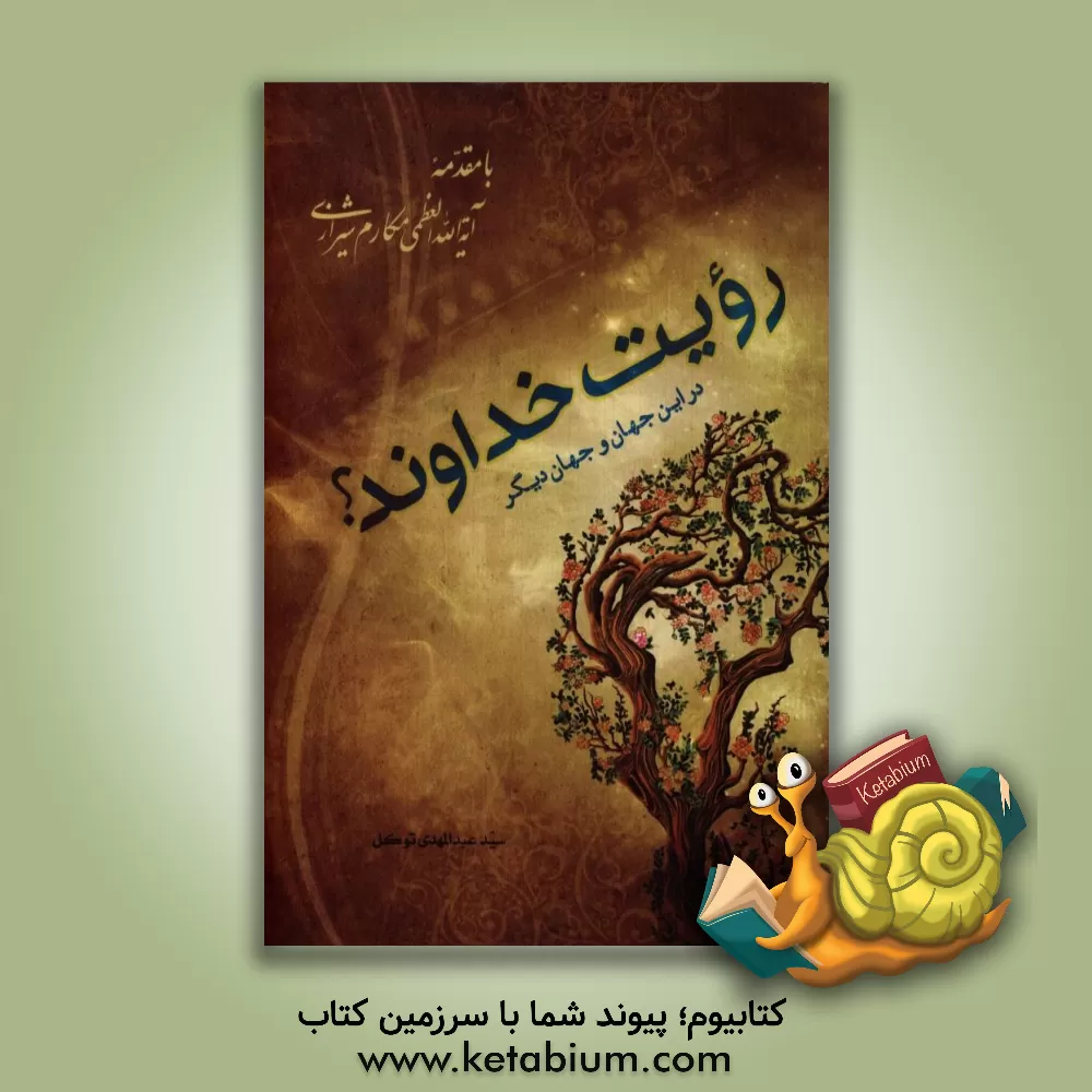 کتاب رویت خداوند؟ در این جهان و جهان دیگر اثر سیدعبدالمهدی توکل