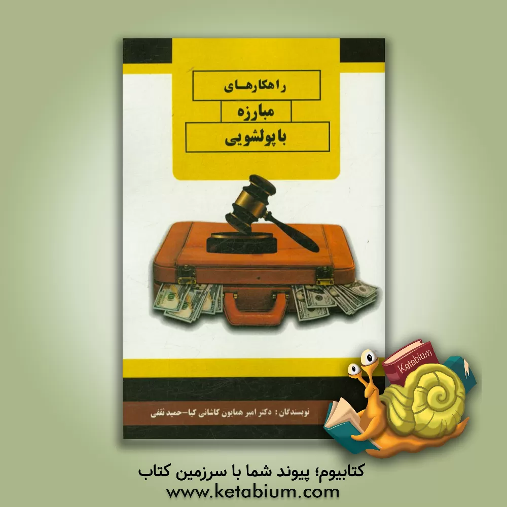 کتاب راهکارهای مبارزه با پولشویی اثر امیرهمایون کاشانی‌کیا