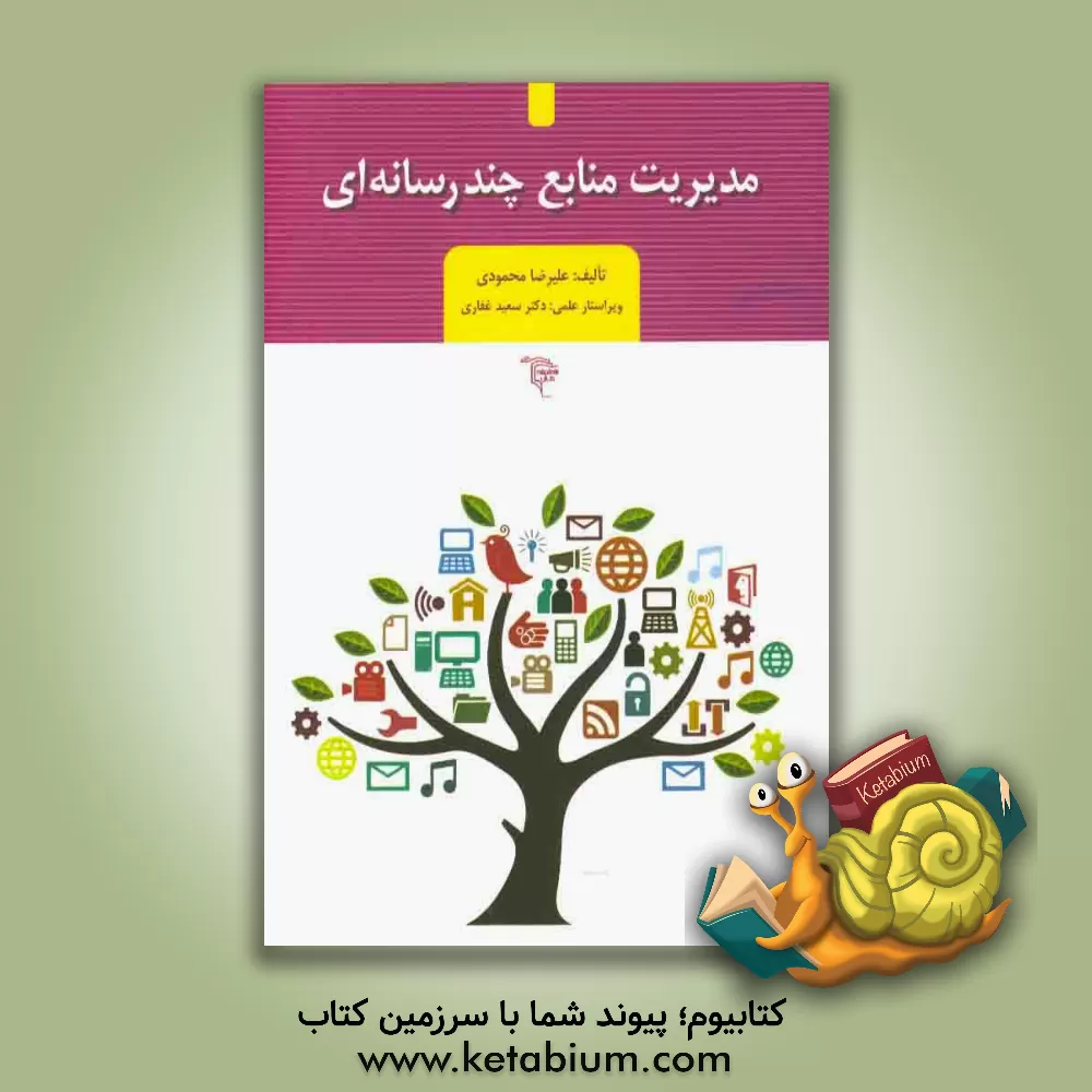 کتاب مدیریت منابع چندرسانه ای اثر علیرضا محمودی