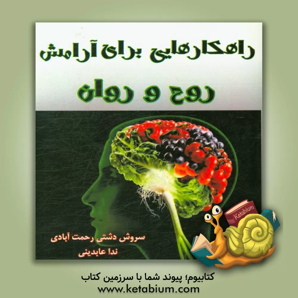 کتاب راهکارهایی برای آرامش روح و روان اثر سروش دشتی‌رحمت‌آبادی