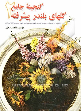 کتاب گنجینه جامع گلهای بلندر پیشرفته: کاملترین و جدیدترین مجموعه آموزش گلهای بلندر همراه با الگو و نمونه سوالات امتحانات (بلندر خشک، بلندر مخملی، بلندر شیش اثر ناهید معزز
