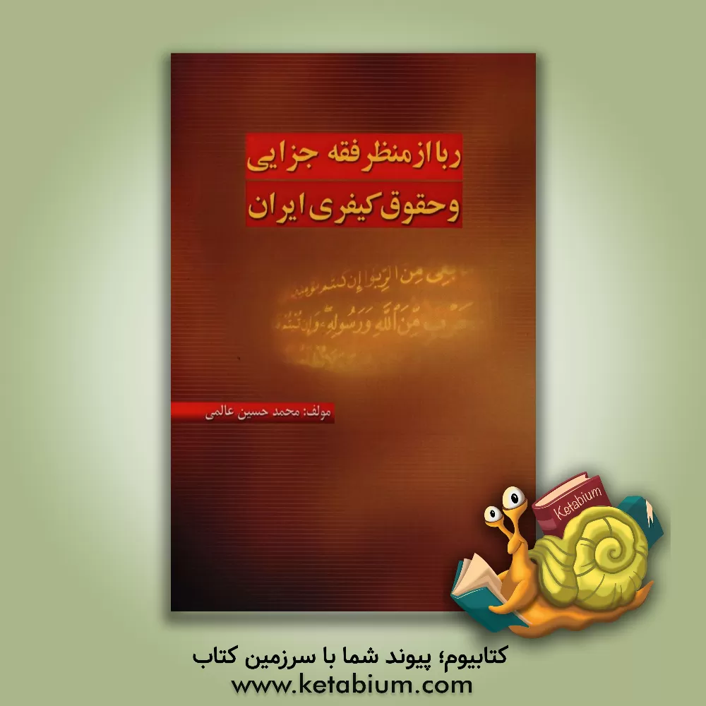 کتاب ربا از منظر فقه جزایی و حقوق کیفری ایران اثر محمدحسین عالمی‌طامه