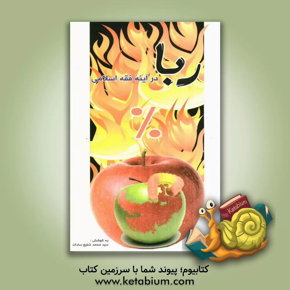 کتاب ربا در آینه فقه اسلامی اثر سیدمحمدشفیع سادات