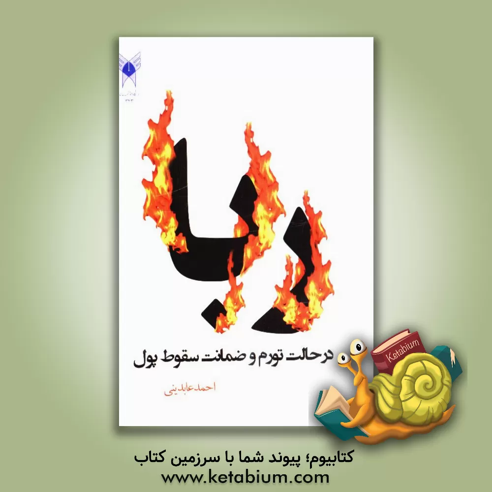 کتاب ربا در حالت: تورم و ضمان سقوط پول اثر احمد عابدینی