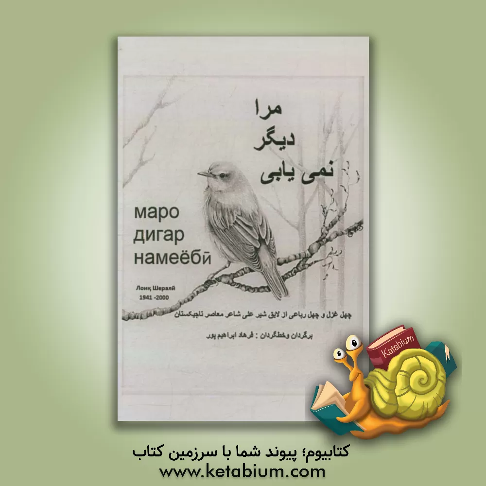 کتاب مرا دیگر نمی یابی: چهل غزل و چهل رباعی اثر لایق شیرعلی