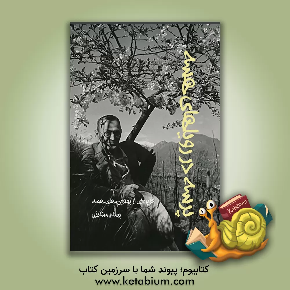 کتاب پرسه در رویاهای هسه "برگزیده ای از بهترین های هرمان هسه" اثر هرمان هسه