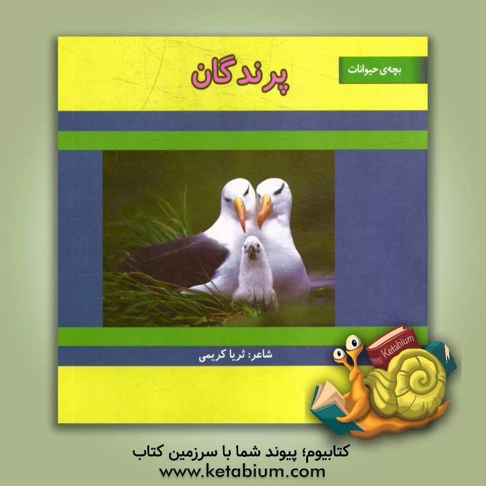 کتاب پرندگان اثر ثریا کریمی