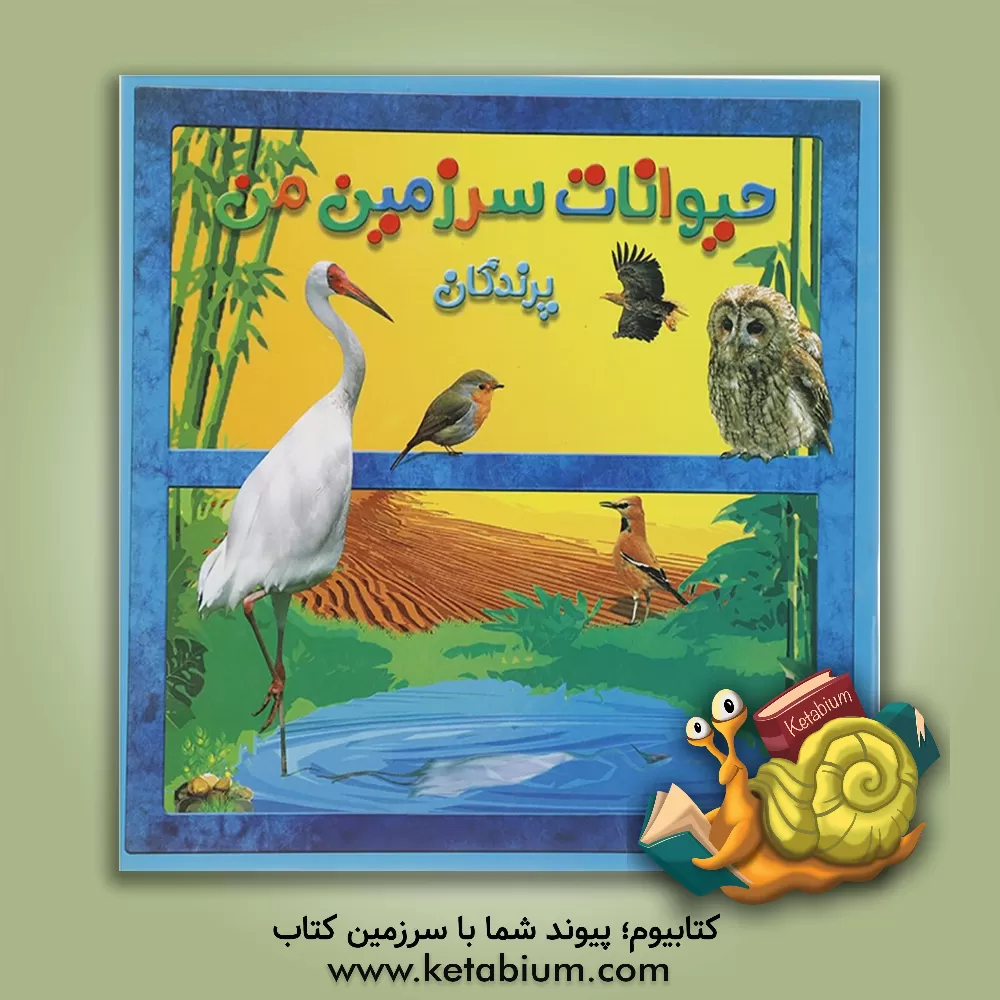 کتاب پرندگان اثر حمیرا محب‌علی