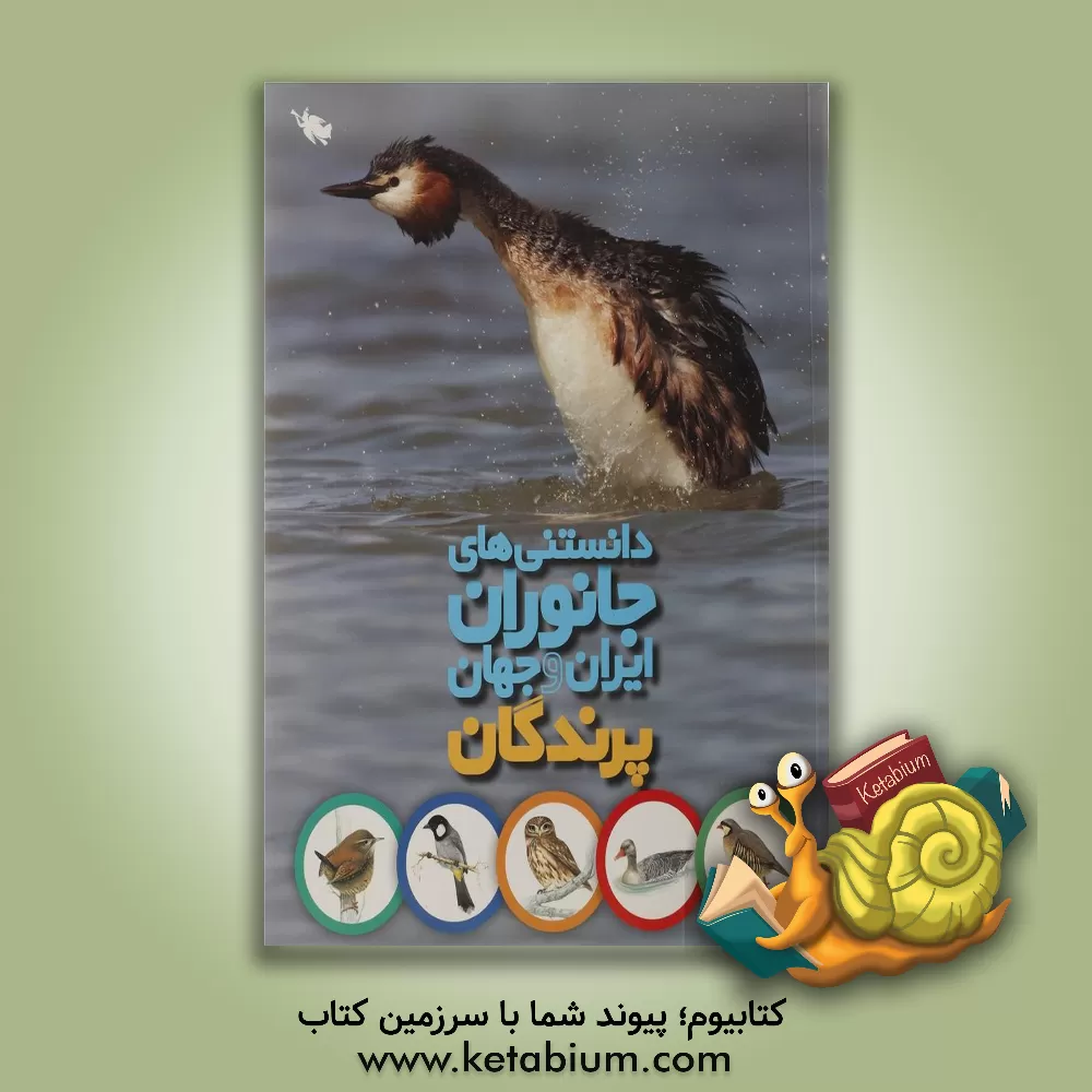 کتاب پرندگان اثر محمد کرام‌الدینی