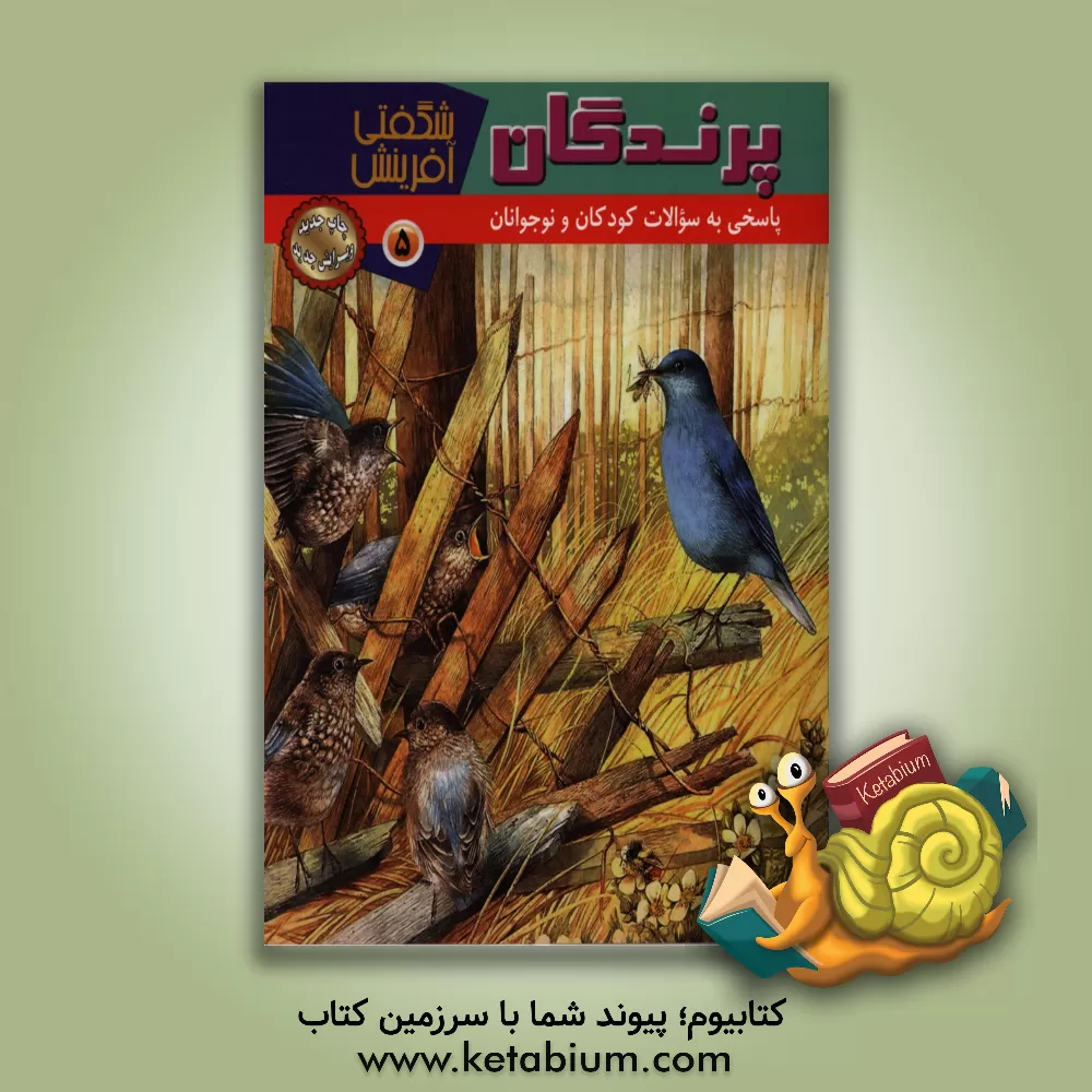 کتاب پرندگان اثر مبینا احمدی