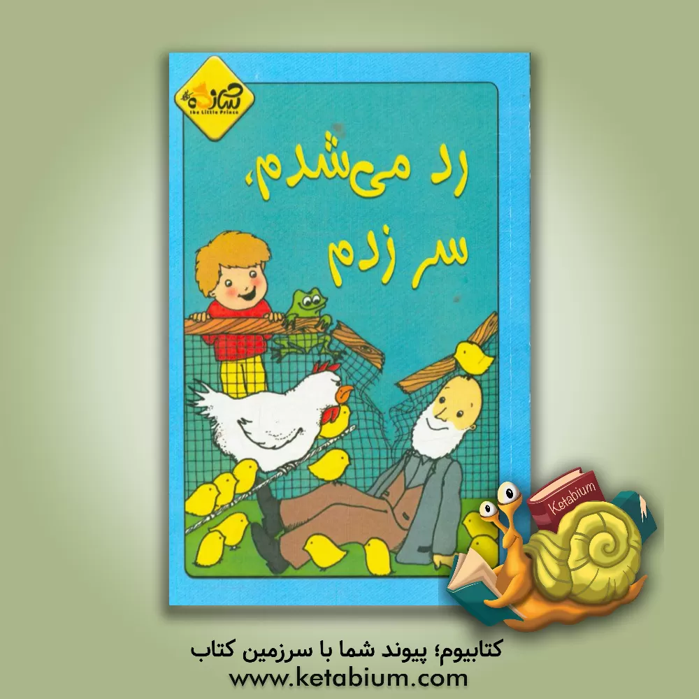 کتاب رد می شدم، سر زدم اثر فاتح اردوغان