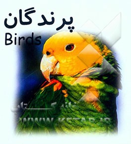 کتاب پرندگان = Birds اثر مهدی شمسی