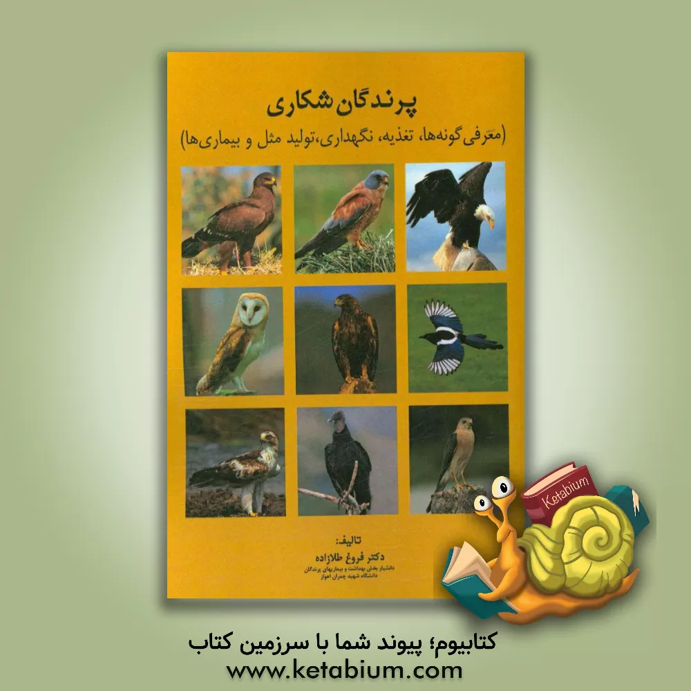کتاب پرندگان شکاری: معرفی گونه ها، تغذیه، نگهداری، تولید مثل و بیماریها اثر فروغ طلازاده