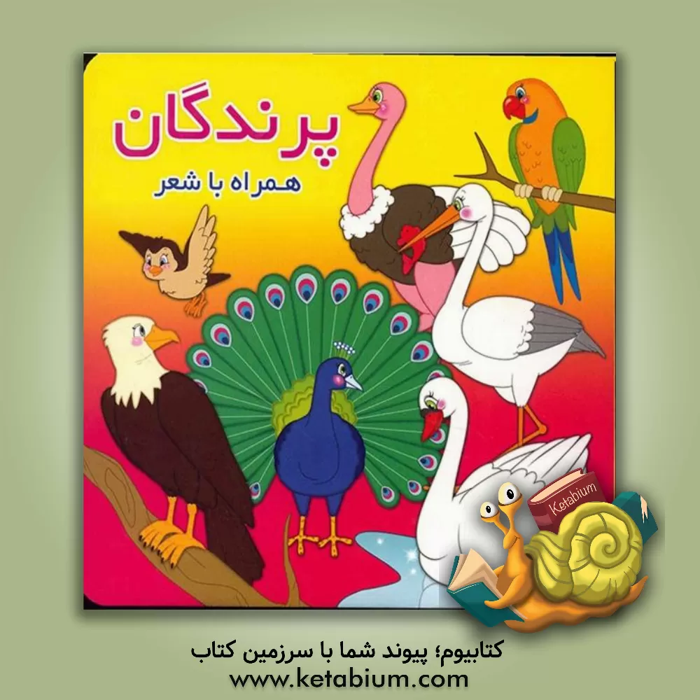 کتاب پرندگان همراه با شعر اثر معصومه سلمان