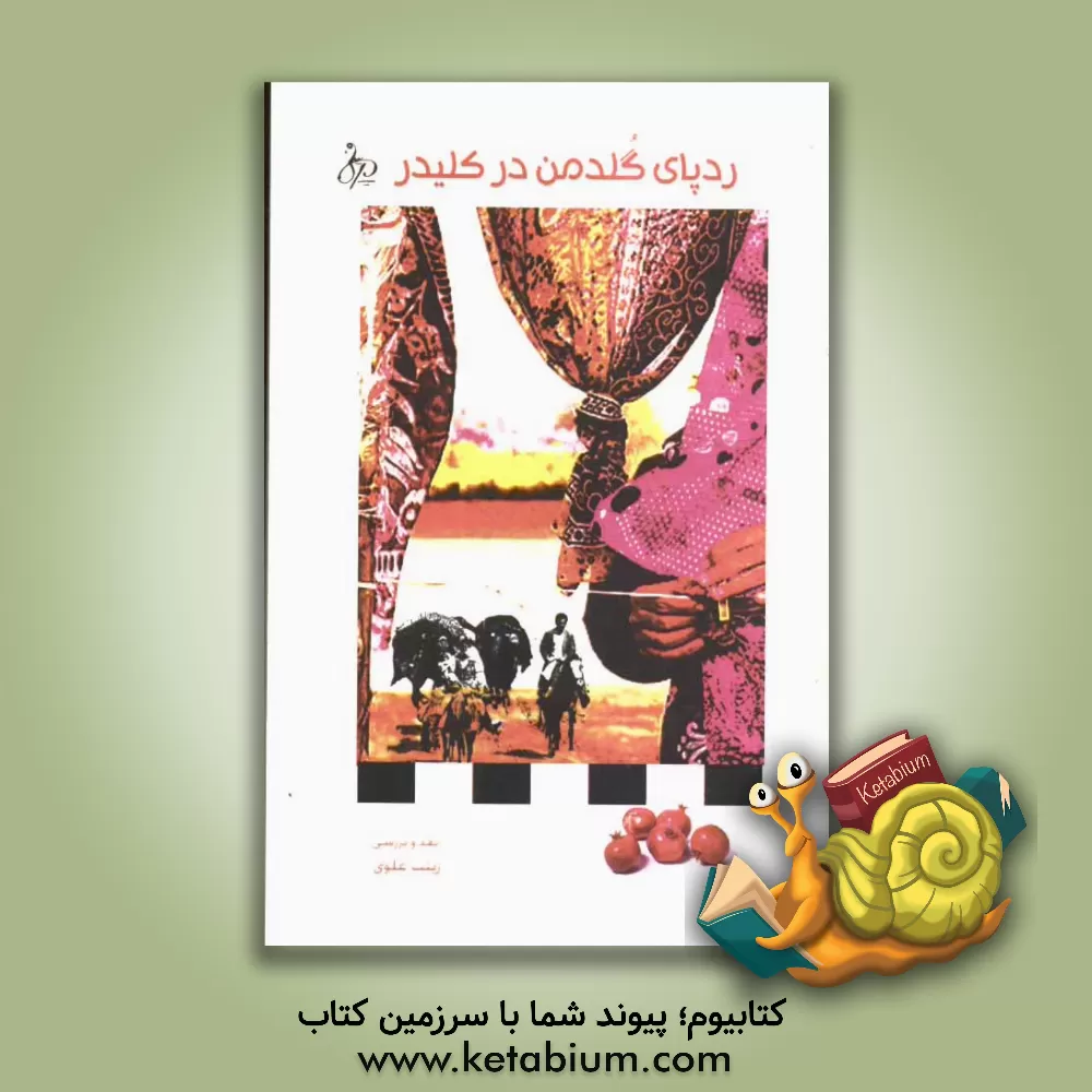 کتاب ردپای گلدمن در کلیدر: نقد و بررسی اثر زینب علوی