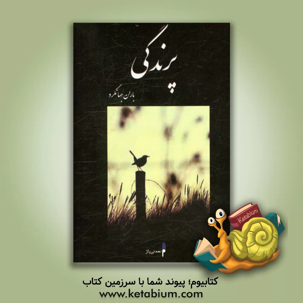 کتاب پرندگی اثر باران جهانگرد