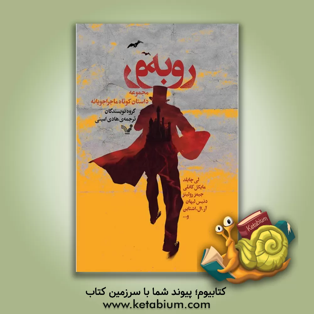 کتاب رروبه رو: مجموعه داستان کوتاه ماجراجویی اثر هادی امینی