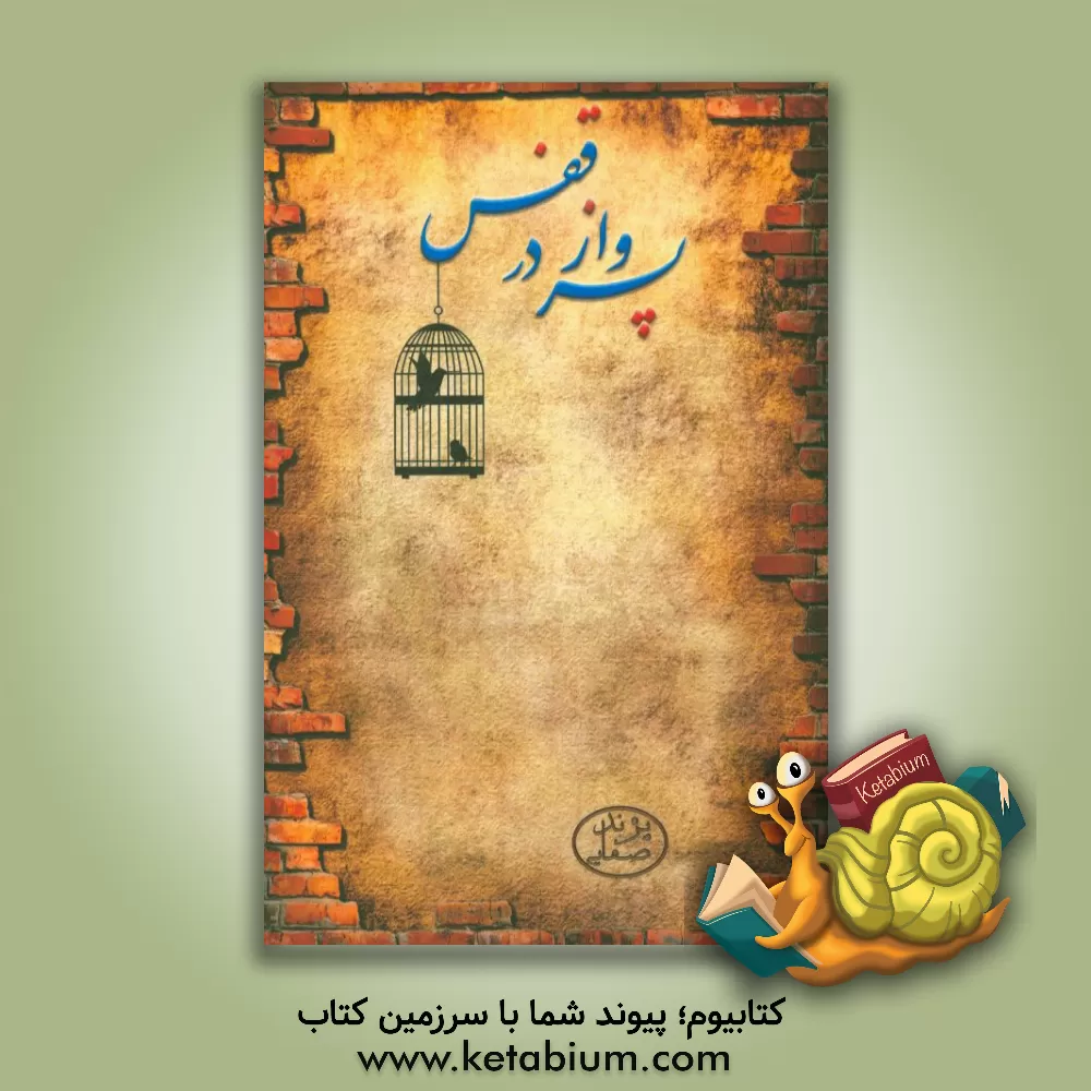 کتاب پرواز در قفس اثر پژند صفایی