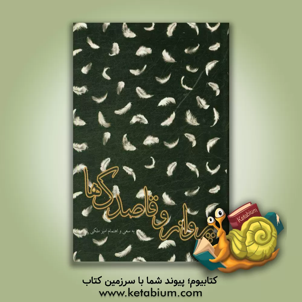 کتاب پرواز و قاصدک ها |اثر امیر ملکی