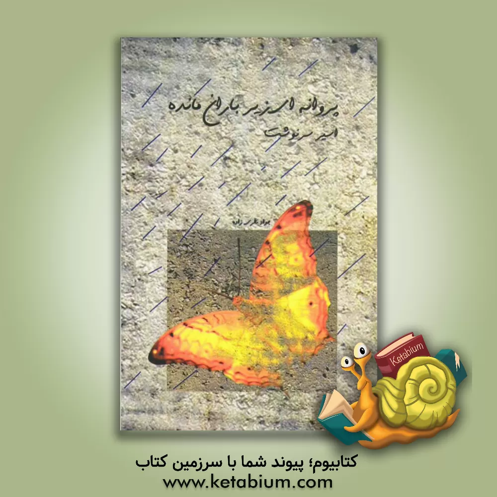 کتاب پروانه ای زیر باران مانده (اسیر سرنوشت) اثر جواد نظری‌زاده