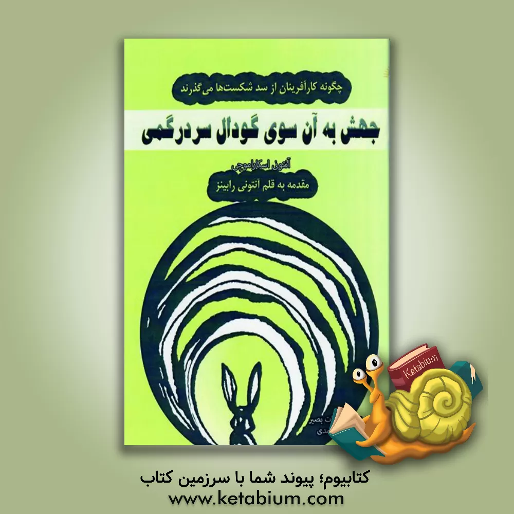 کتاب جهش به آن سوی گودال سردرگمی: چگونه کارآفرینان از سد شکست ها می گذرند اثر آنتونی اسکاراموتچی