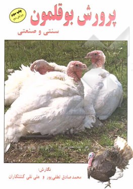 کتاب پرورش بوقلمون: سنتی و صنعتی اثر محمدصادق لطفی‌پور