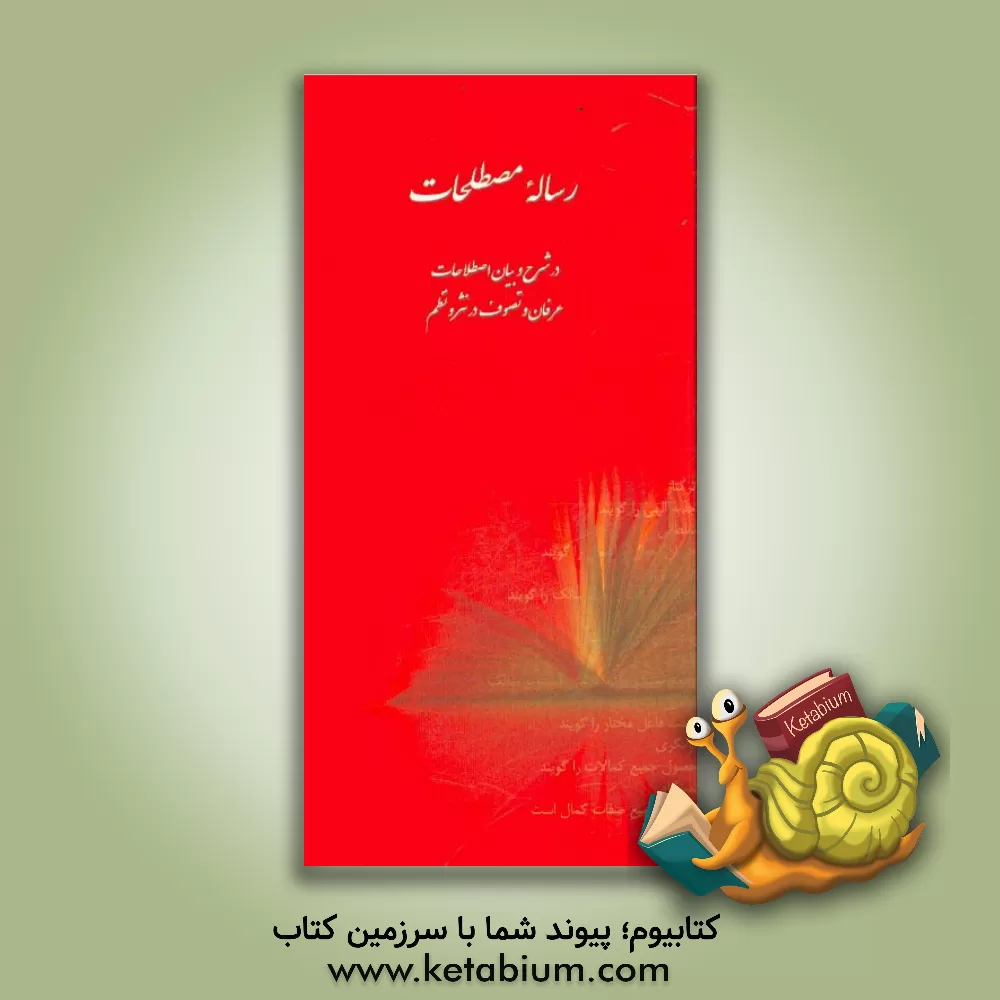 کتاب رساله مصطلحات در شرح و بیان اصطلاحات عرفان و تصوف در نثر و نظم اثر ابراهیم‌بن‌بزرگمهر عراقی