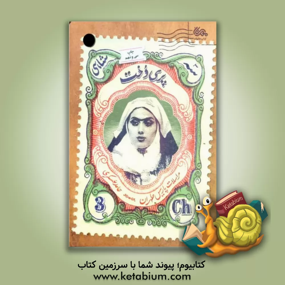 کتاب پری دخت: مراسلات پاریس طهران |اثر حامد عسکری