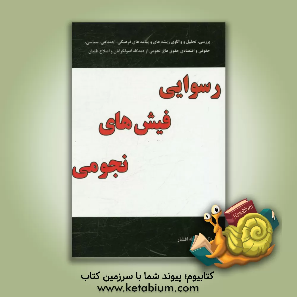 کتاب رسوایی فیش های نجومی (بررسی، تحلیل و واکاوی ریشه و پیامدهای فرهنگی، اجتماعی، سیاسی، حقوقی و اقتصادی حقوق های نجومی از دیدگاه اصولگرایان و اصلاح طلبان) اثر اسدالله افشار