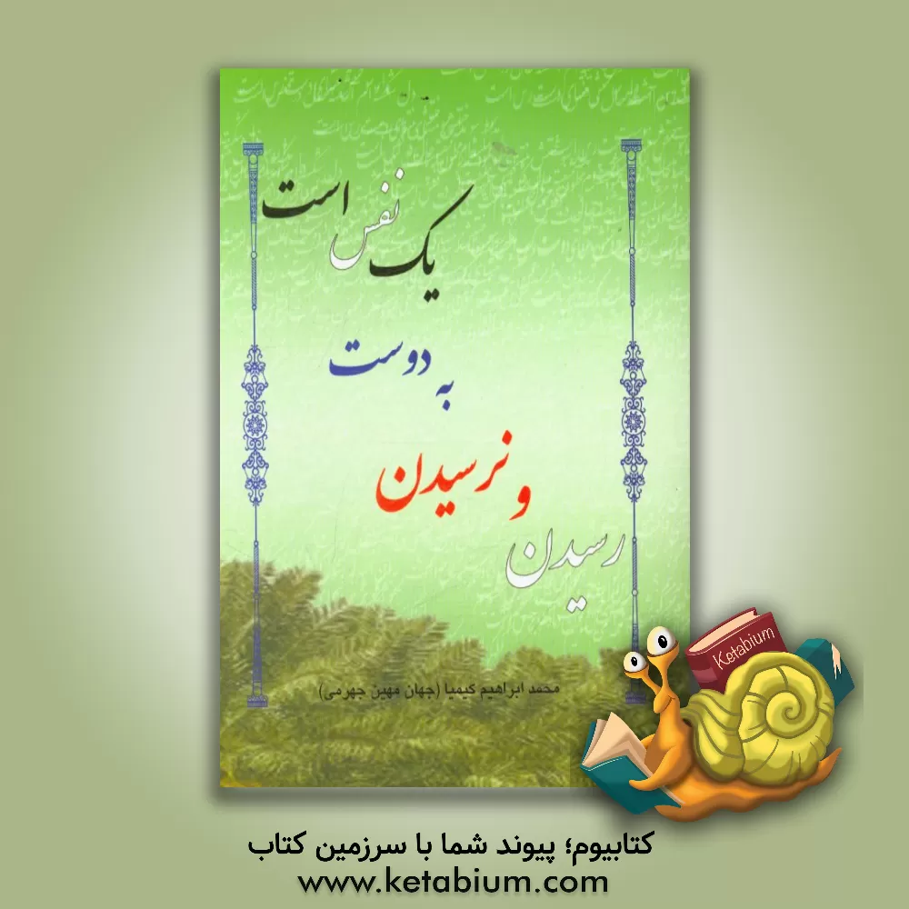کتاب رسیدن و نرسیدن به دوست یک نفس است اثر محمدابراهیم کیمیافرجهرمی