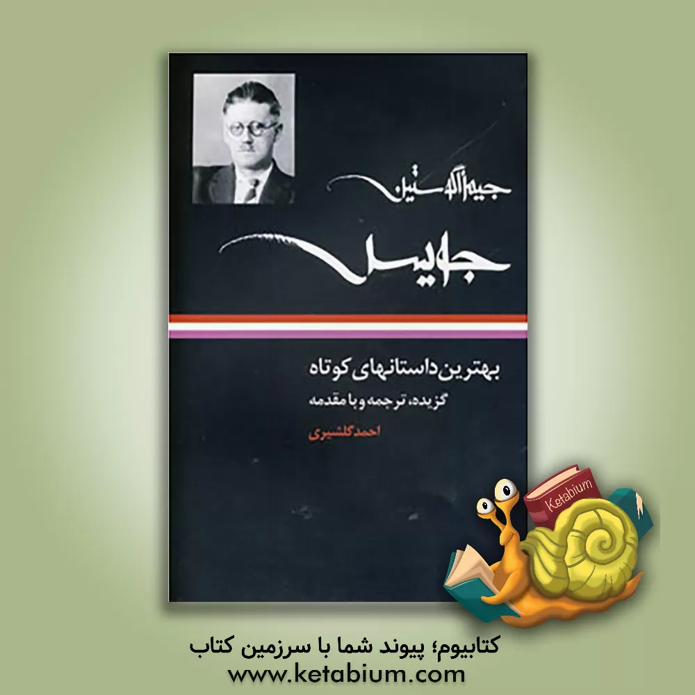 کتاب جیمز آگوستین جویس (بهترین داستان های کوتاه) اثر احمد گلشیری