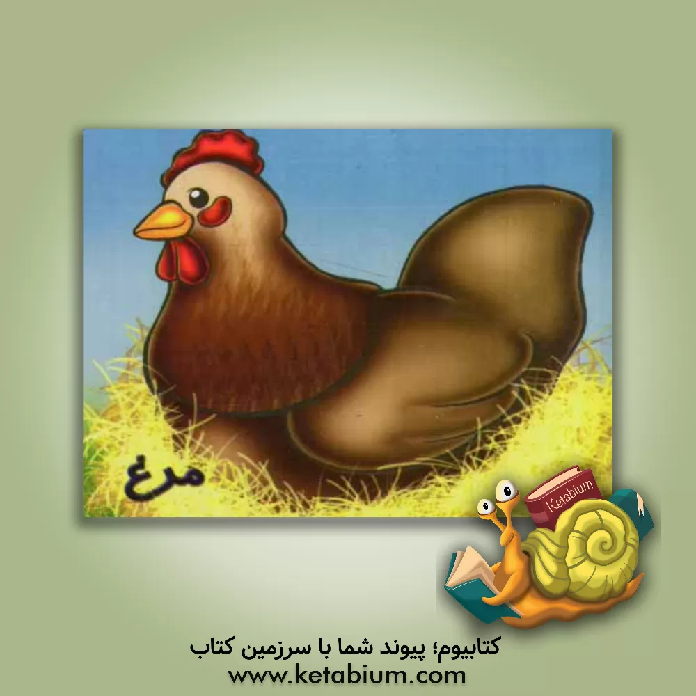 کتاب مرغ اثر شهره یوسفی