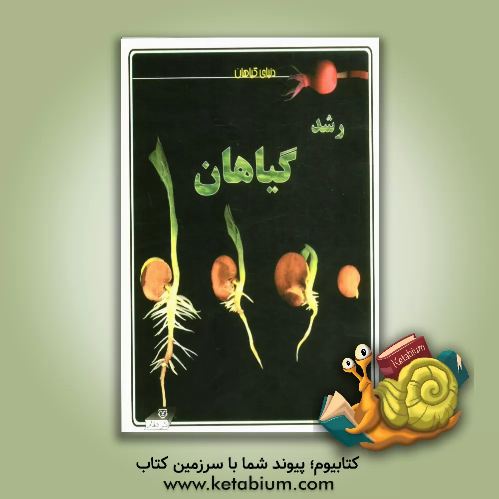 کتاب رشد گیاهان |اثر لوئیز اسپیلزبری