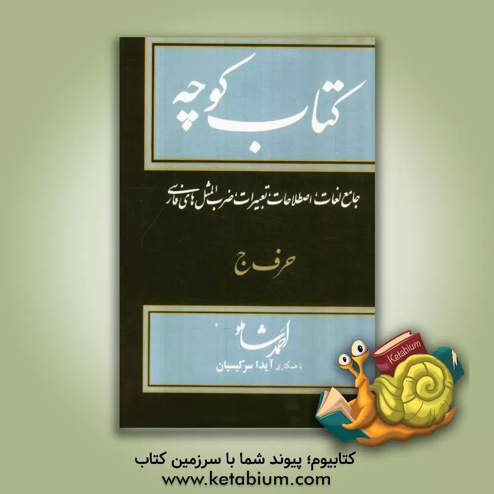 کتاب کتاب کوچه: جامع لغات، اصطلاحات، تعبیرات، ضرب المثل های فارسی |اثر احمد شاملو