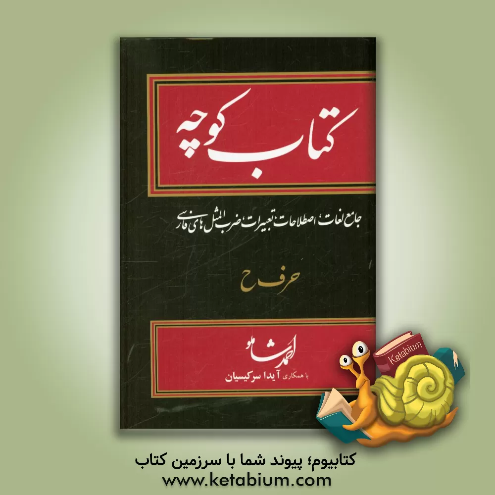 کتاب کتاب کوچه: جامع لغات، اصطلاحات، تعبیرات، ضرب المثل های فارسی |اثر احمد شاملو