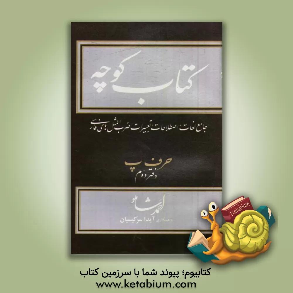 کتاب کتاب کوچه: جامع لغات، اصطلاحات، تعبیرات، ضرب المثلهای فارسی |اثر احمد شاملو