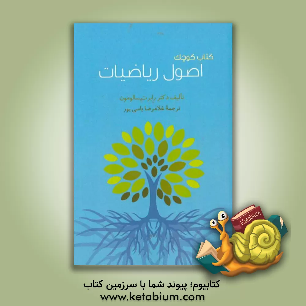 کتاب کتاب کوچک اصول ریاضیات اثر رابرت سالومون