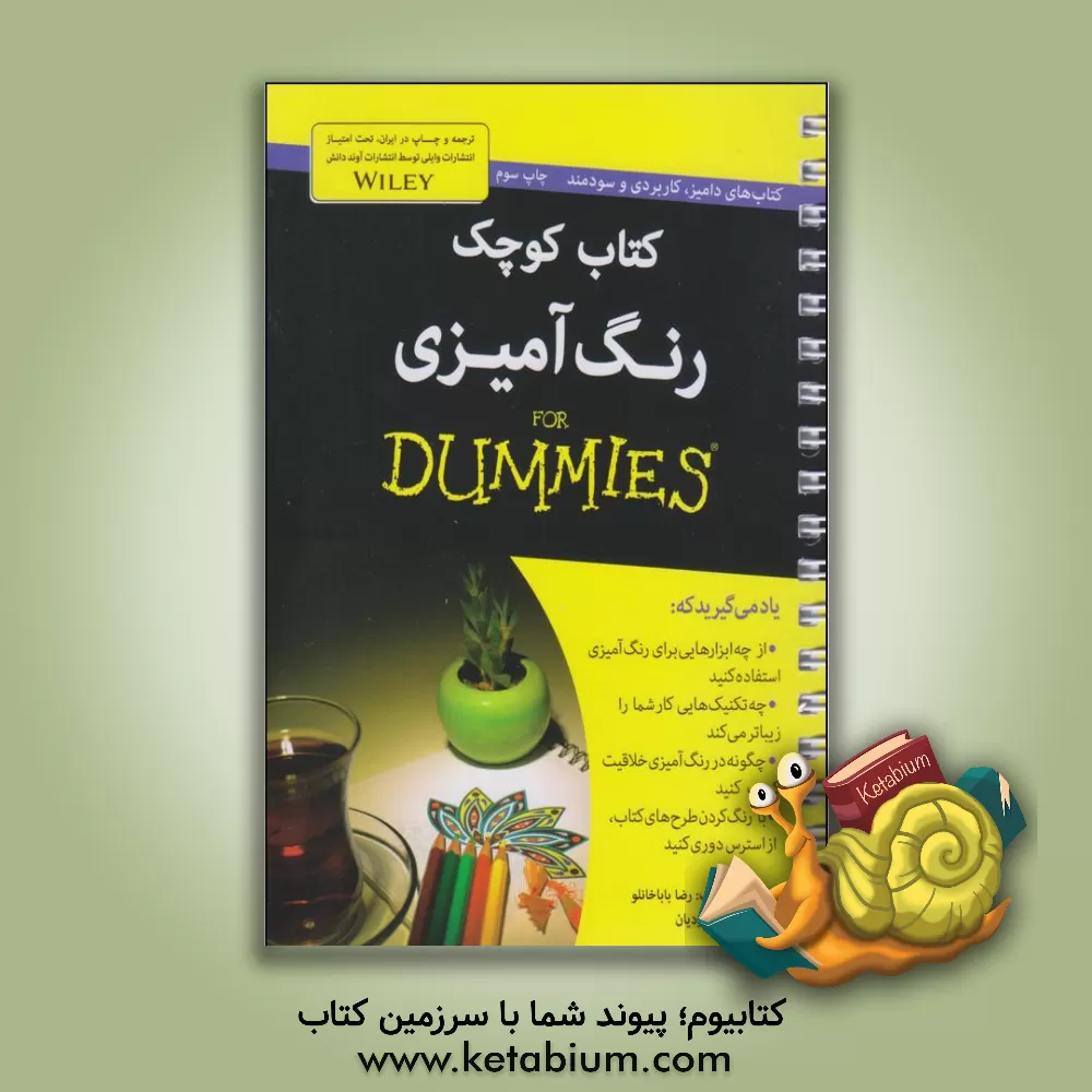 کتاب کتاب کوچک رنگ آمیزی for dummies اثر رضا باباخانلو