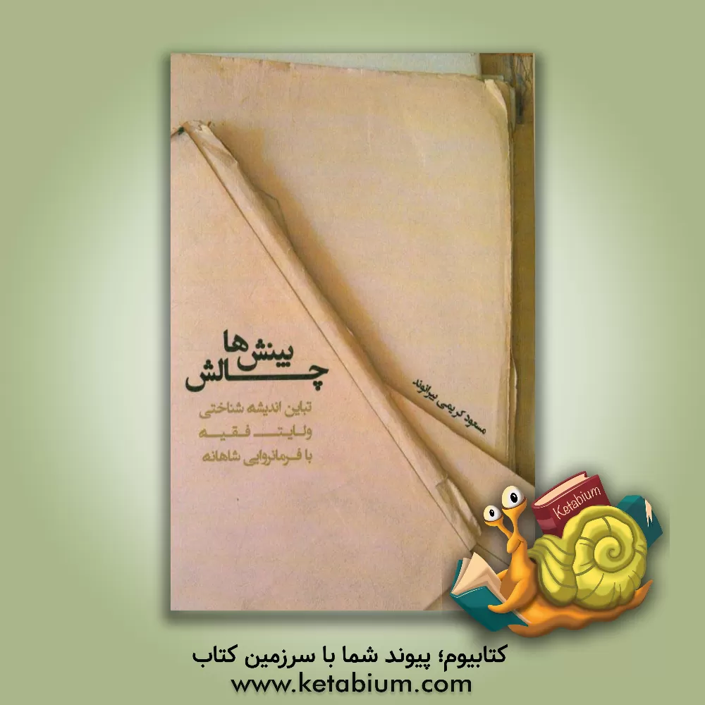 کتاب چالش بینش ها اثر مسعود کریمی‌بیرانوند