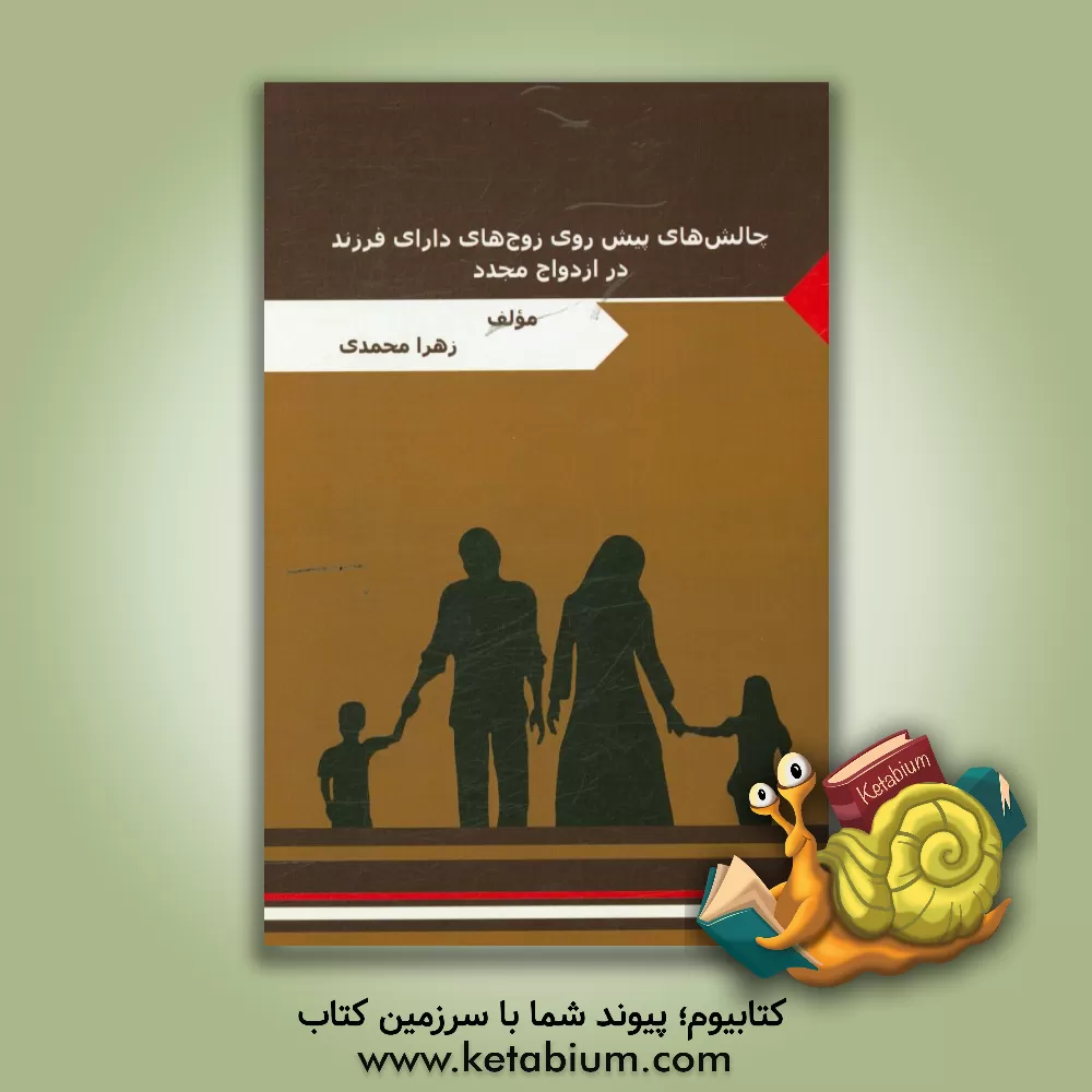 کتاب چالش های پیش روی زوج های دارای فرزند در ازدواج مجدد اثر زهرا محمدی