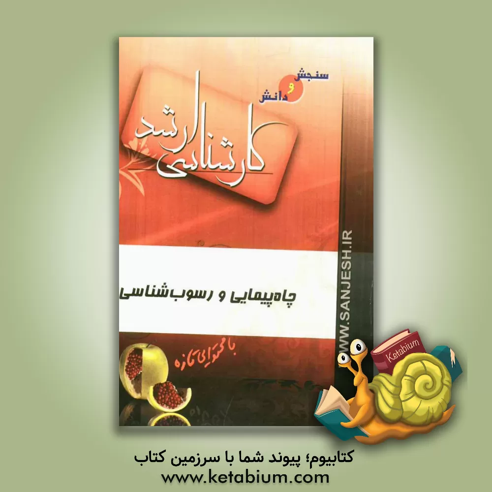 کتاب چاه پیمایی و رسوب شناسی اثر رضا رحیمی