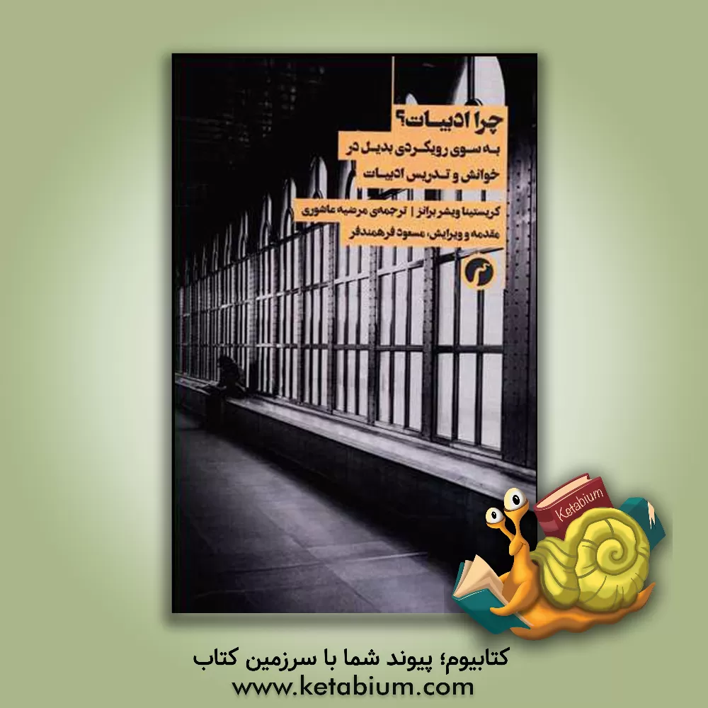 کتاب چرا ادبیات؟ به سوی رویکردی بدیل در خوانش و تدریس ادبیات |اثر کریستیناویشر برونس