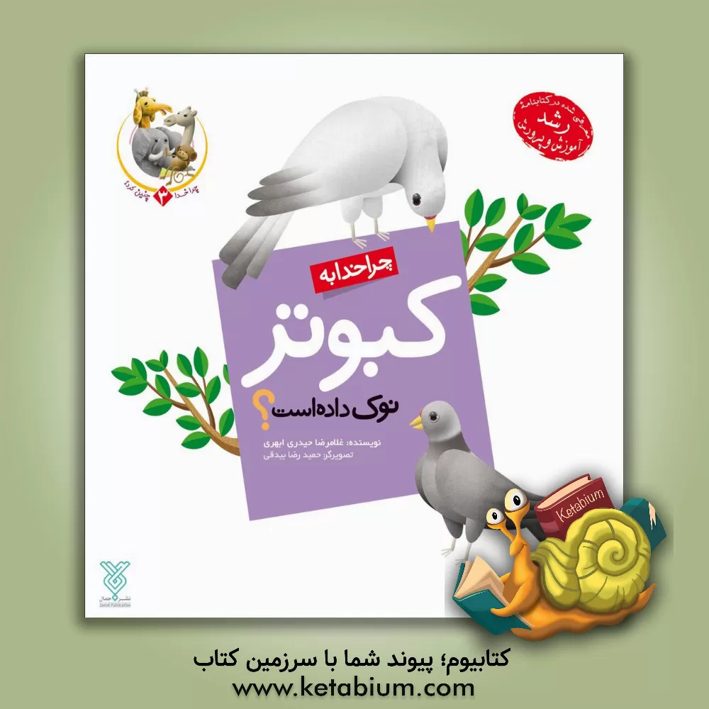 کتاب چرا خدا به کبوتر نوک داده است؟ |اثر غلامرضا حیدری ابهری