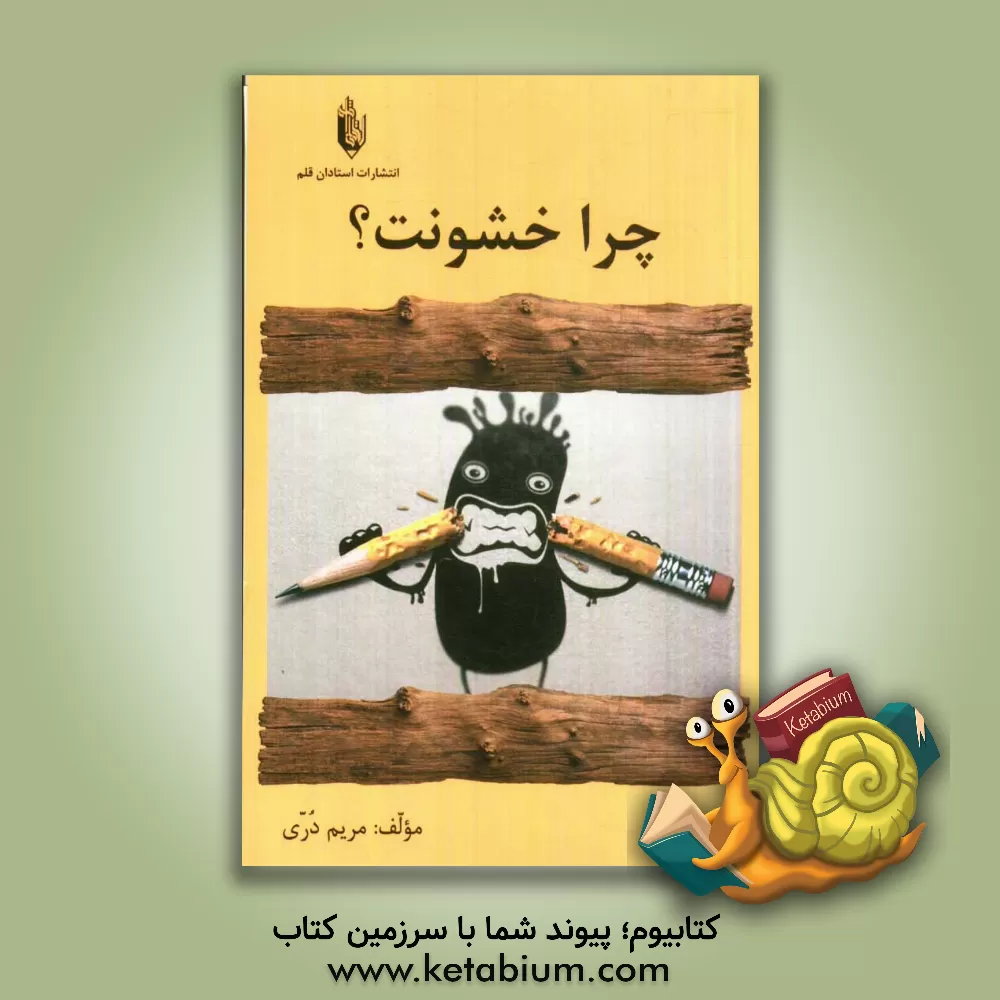 کتاب چرا خشونت؟! اثر مریم دری